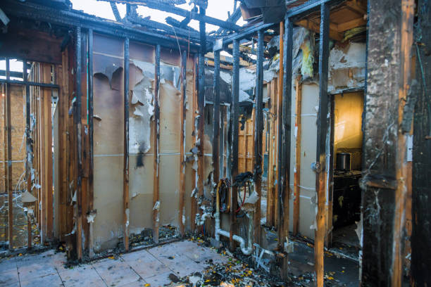 Professional Fire Damage Removal technician working in Greenwood, SC
